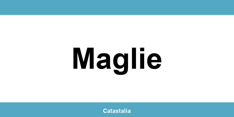 Contatti e login del SUE comunale a Maglie